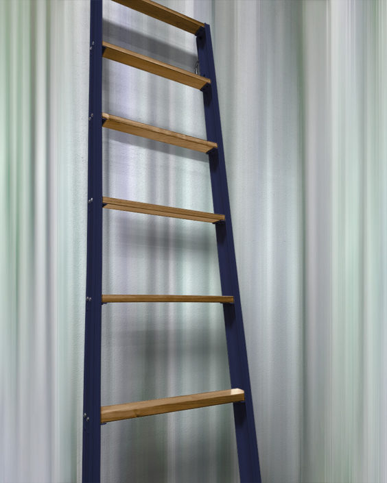 CustomLoft2 Alaco Ladder